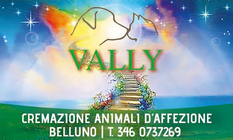 Vally